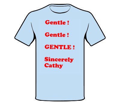 Women's Fitted Tee