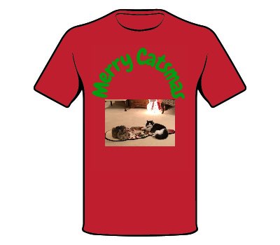 Women's Fitted Tee