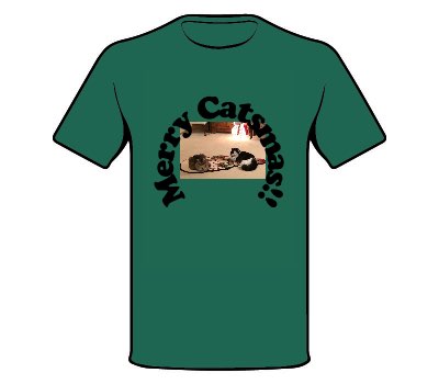 Women's Fitted Tee