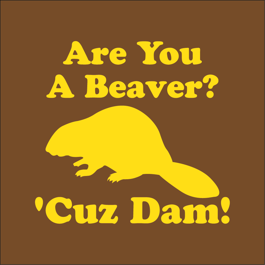 Are You A Beaver