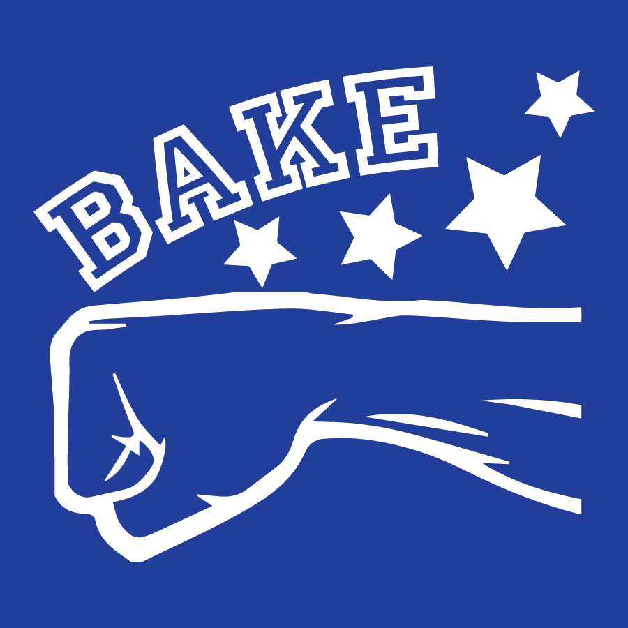 Shake N Bake 2