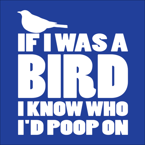 If I Was A Bird
